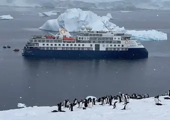 Een luxe cruiseschip verankerd tussen ijsbergen in Antarctica met pinguïns op het ijs op de voorgrond, een unieke poolervaring.
