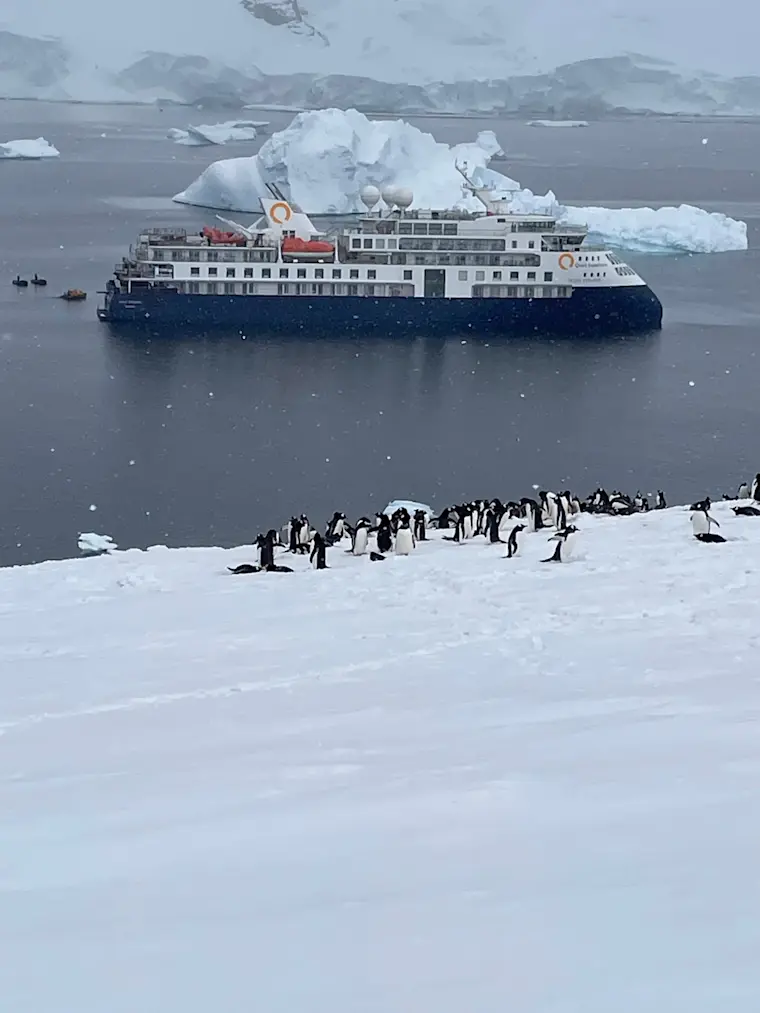 Een luxe cruiseschip verankerd tussen ijsbergen in Antarctica met pinguïns op het ijs op de voorgrond, een unieke poolervaring.