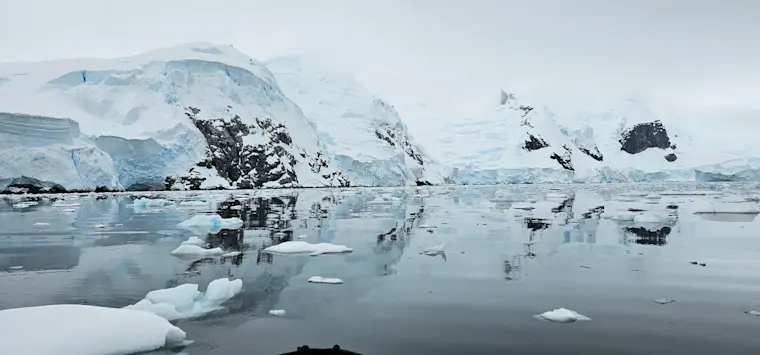 Adembenemend Antarctisch landschap met imposante besneeuwde bergen, drijvend ijs en spiegelglad water onder een grijze hemel.