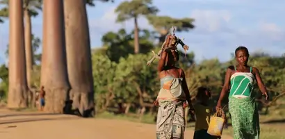 baobab-madagascar-groepsreis programma 410x200