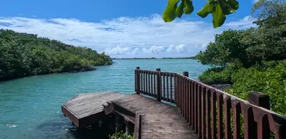 mangroven-lagune-samoa-groepsreis