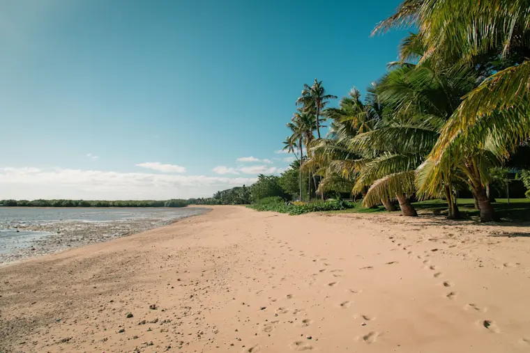 Een ongerepte tropische strandinham met palmbomen, witgeel zand en kristalhelder turquoise water onder een stralend blauwe hemel.