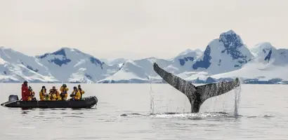 walvis-heft-staart-uit-zee