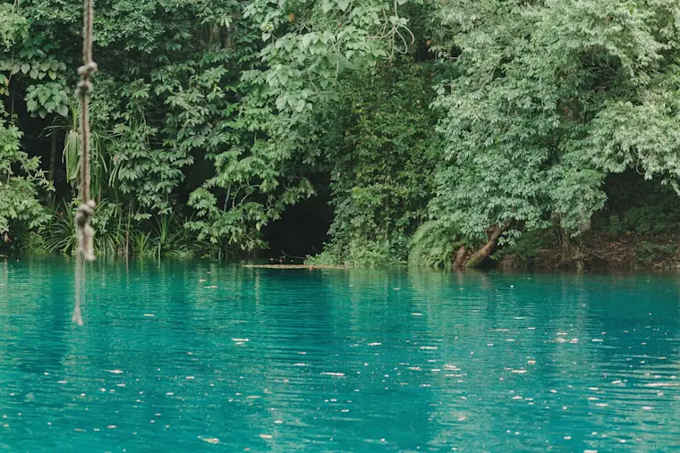Een adembenemend turquoise meer omgeven door weelderige groene jungle met overhangende bomen en lianen, perfect voor natuurliefhebbers en avontuurzoeker.