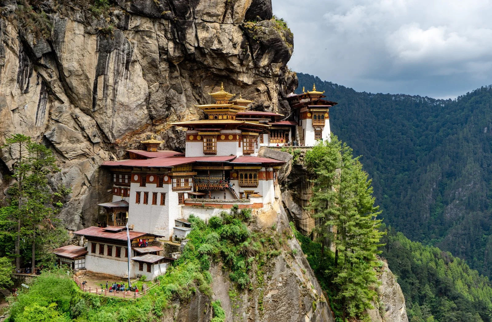 Het iconische Taktshang Kloster (Tijgernest) kleeft dramatisch aan een steile rotswand in de bergen van Bhutan, met zijn karakteristieke witte muren, gouden daken en rode accenten omgeven door weelderig groen.