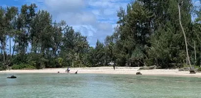 tropisch-strand-met-turquoise-water-en-palmen &middot; fiji-samoa-en-vanuatu