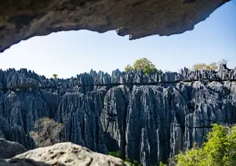 Spectaculair uitzicht op de unieke karstformaties van de Tsingy-rotsformaties in Madagaskar, gezien vanuit een natuurlijke grot met scherpe steenpilaren die als een stenen bos omhoog rijzen.