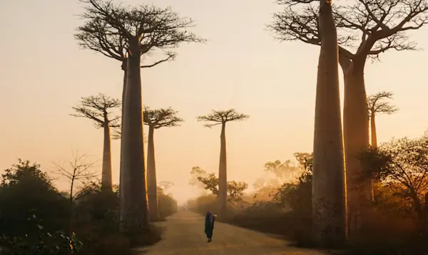Afrika