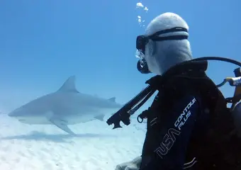 Een duiker in wetsuit komt face-to-face met een grote stierhaai in helder blauw zeewater, een spectaculaire onderwaterencounter in een tropische duikbestemming.