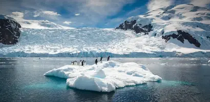 pinguins-op-drijvend-ijs-en-turquoise-water