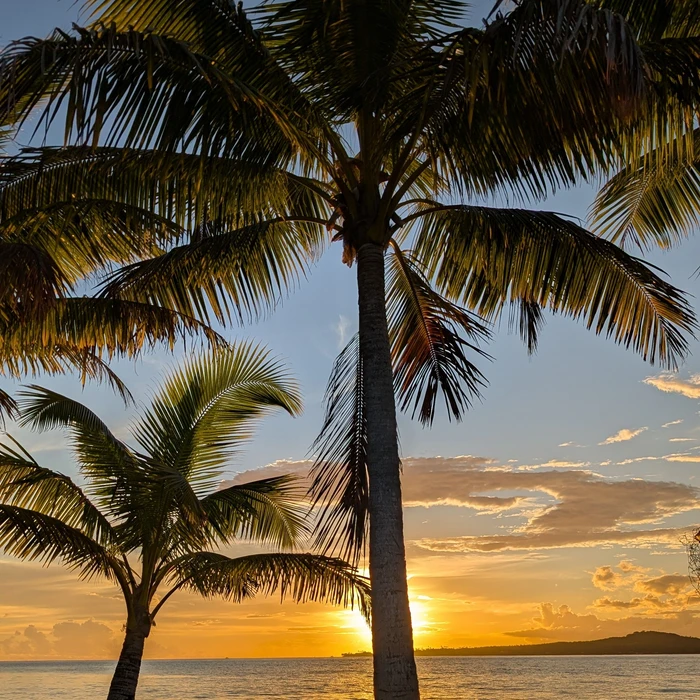 Een idyllisch tropisch strandtafereel met slanke palmbomen tegen een spectaculaire goudgele zonsondergang boven de oceaan, perfect voor een ontspannende strandvakantie.