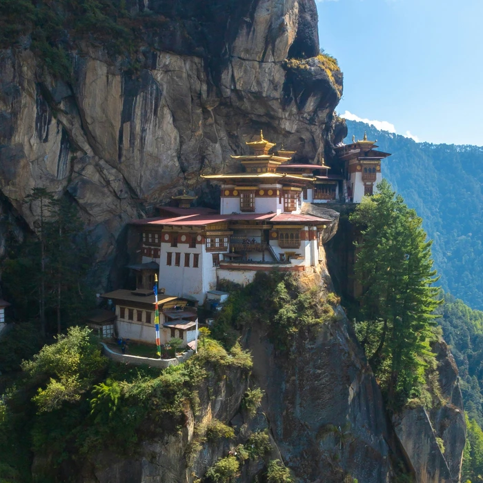 Het iconische Taktshang Kloster (Tijgernest) kleeft dramatisch aan een steile rotswand in de bergen van Bhutan, met zijn karakteristieke witte muren, gouden daken en rode accenten omgeven door weelderig groen.