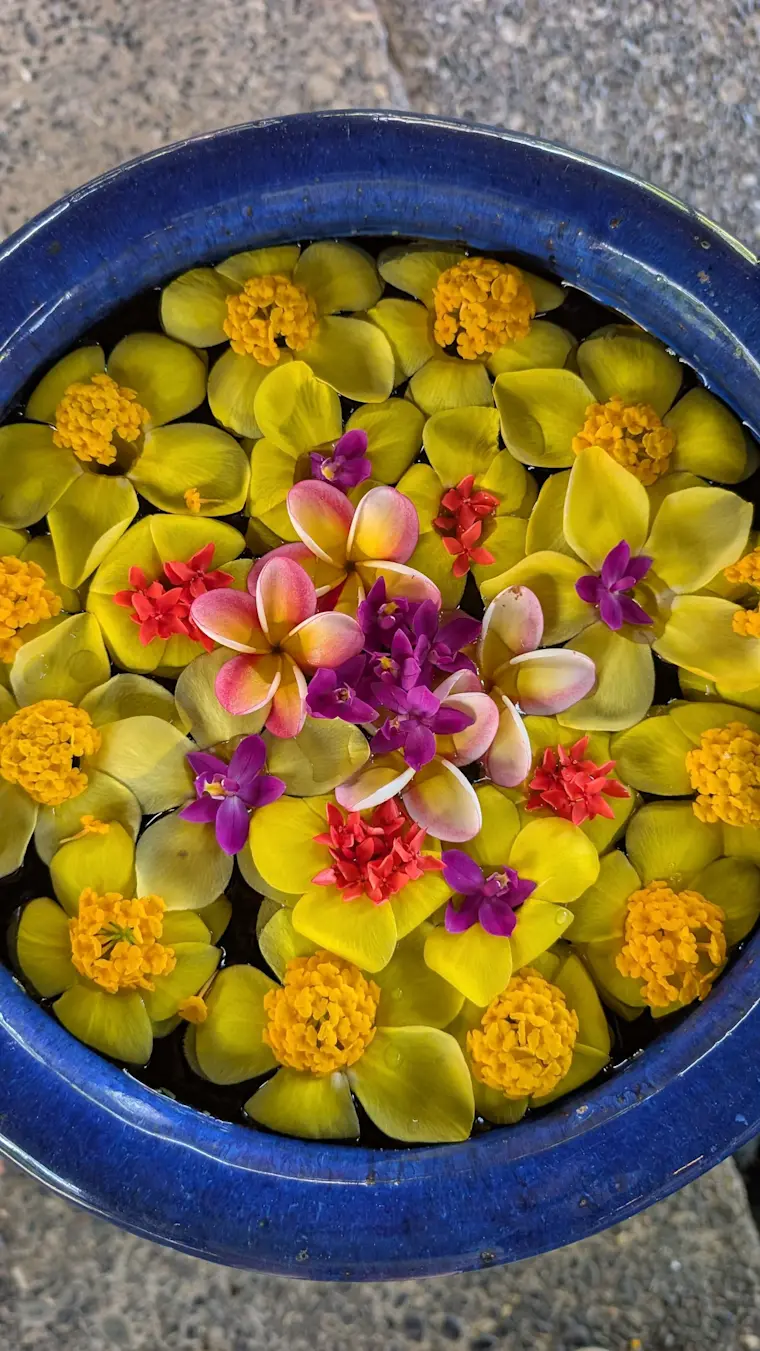 Een traditionele blauwe kom vol gele en groene bloemen en bloemblaadjes, versierd met roze, rode en paarse bloesems, die een typische Zuidoost-Aziatische bloemenceremonies of spa-ritueel toont.