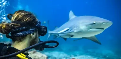 duiker-fotografeert-witte-haai-onderwater &middot; fiji-samoa-en-vanuatu