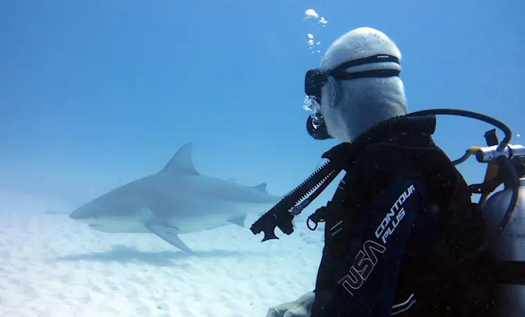 Een duiker in wetsuit komt face-to-face met een grote witte haai in helder blauw zeewater, een spectaculaire onderwaterencounter in een tropische duikbestemming.