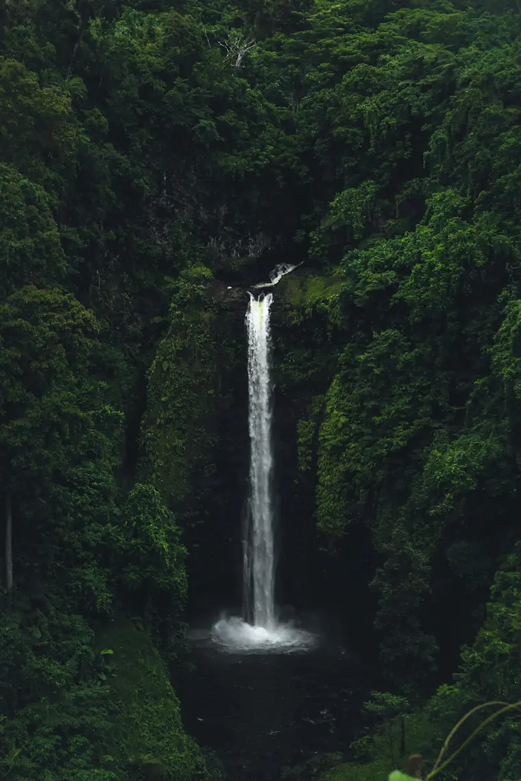 Een spectaculaire waterval stort zich vanaf een hoog rotsplateau naar beneden in een donker bassin, omgeven door weelderige groene jungle en mistige atmosfeer.