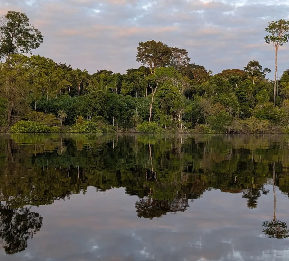 amazone regenwoud spiegeling brazilie groepsreis