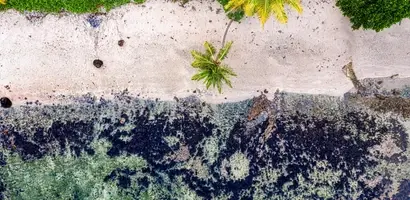 tropisch-strand-met-palmbomen-en-koraalriffen &middot; fiji-samoa-en-vanuatu