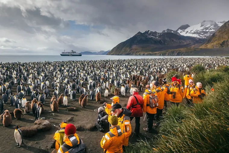 Toeristen in oranje vesten observeren duizenden koningspinguïns op een zwartgrijze vulkanische strand in Zuid-Georgië, met een cruiseschip en besneeuwde bergen op de achtergrond.