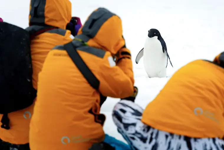 Toeristen in fel gele winterjassen observeren van dichtbij een nieuwsgierige pinguïn in een ijzige poolregio.