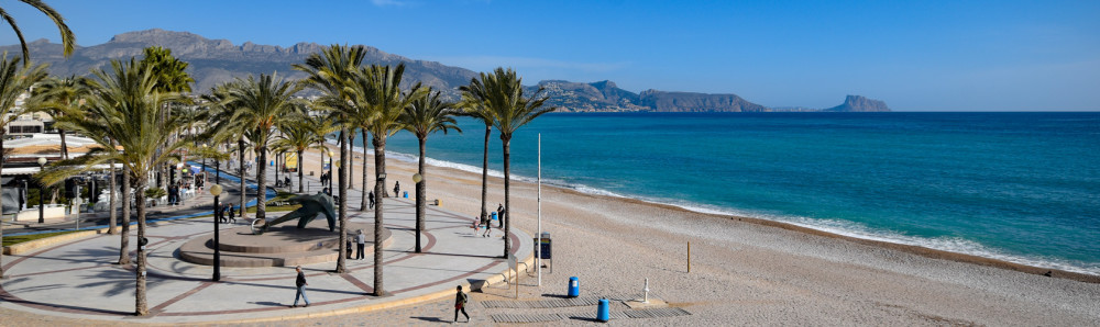 Albir