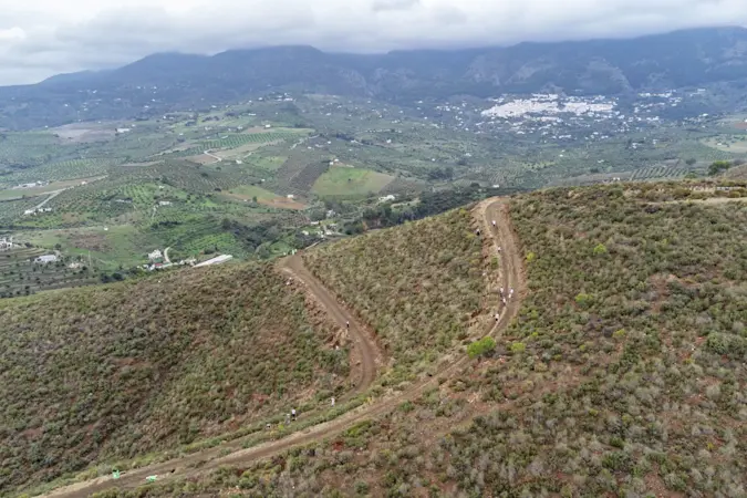 Plantering av Fastighetsbyrån-skogen