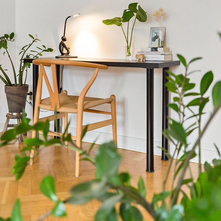 Dekorera ditt hem med växter