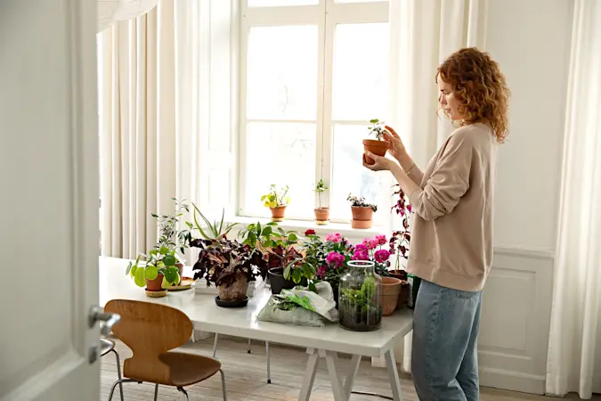 plantering styling inredning blommor