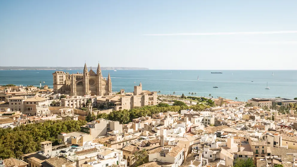 Palma stad