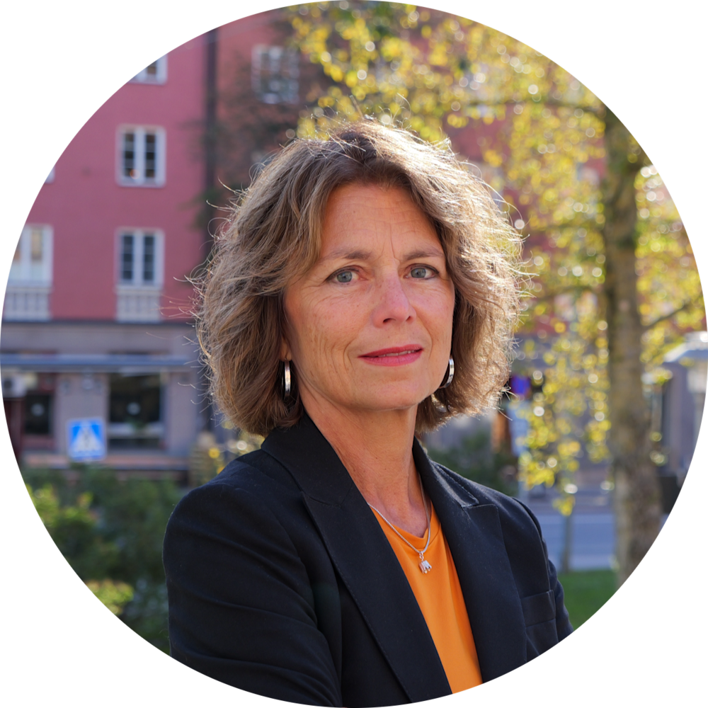 Maria Frisk, Generalsekreterare Bris