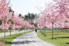 Katrineholm 