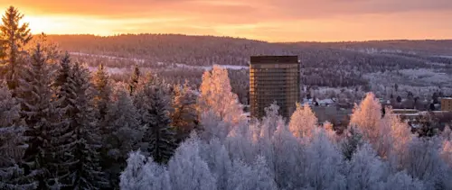 Skellefteå stad