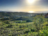 Manilva