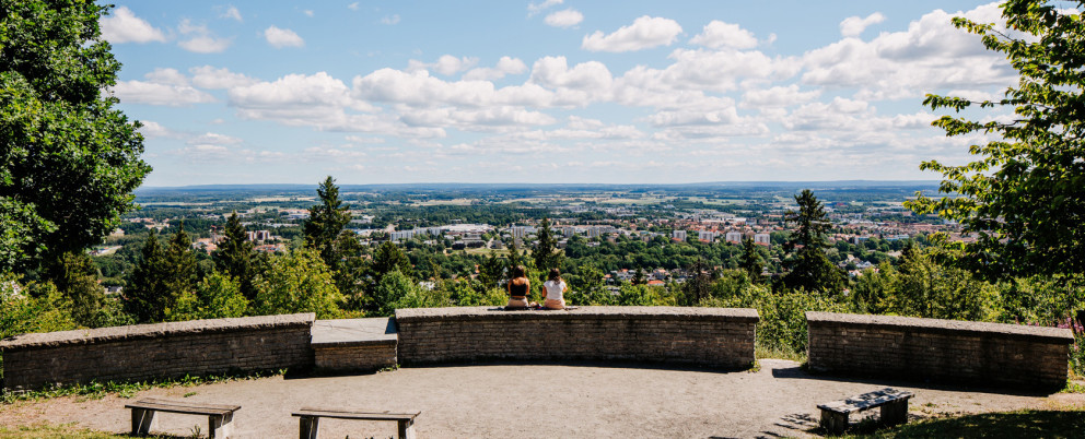 Utsikt över Skövde från berget Billingen