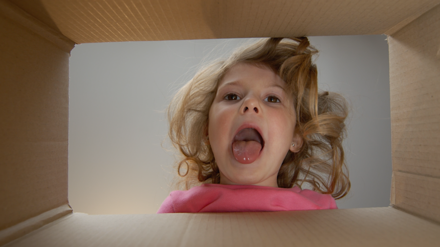 Lilla flytthjälpen huvudbild