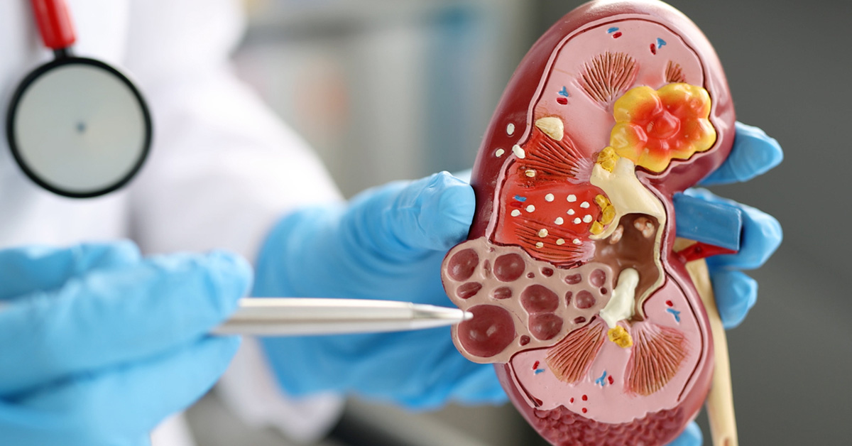 Nephrology Library Image