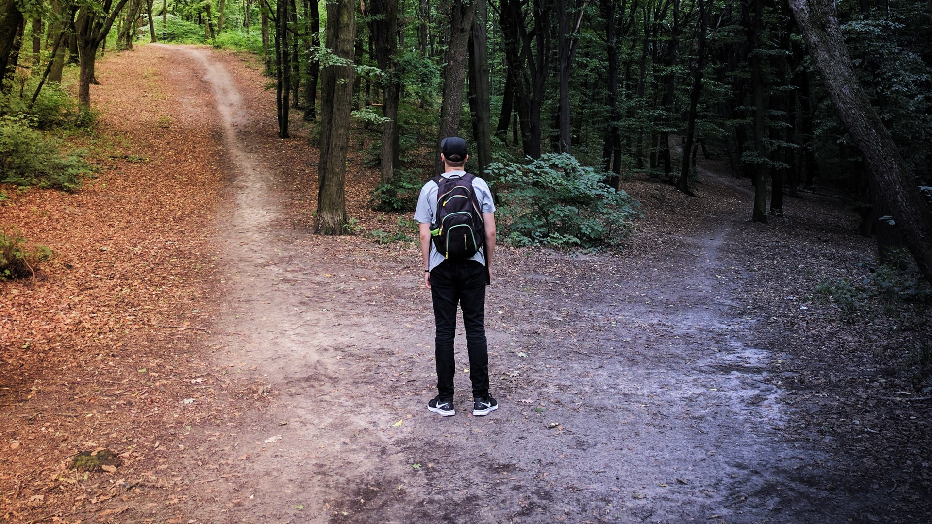 Git - How to use Bisect?