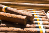 two cigars picture