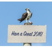 Eagle and Have a Great 2016 Sign