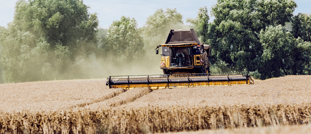 Erntemaschine bei der Arbeit