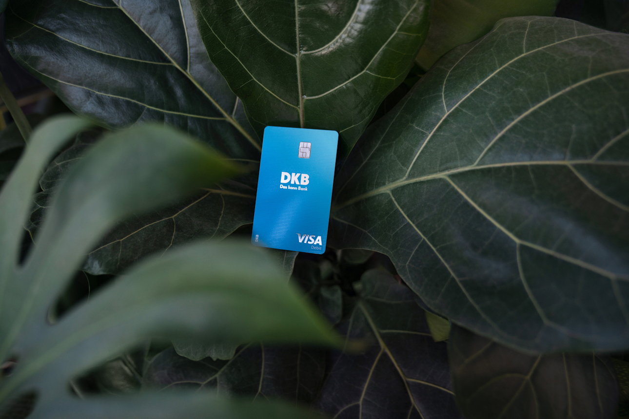 DKB Visa Debitkarte liegt auf einem Pflanzenblatt