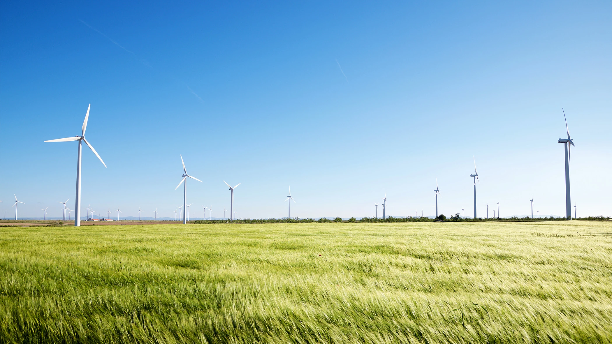 Windräder auf einem Feld.