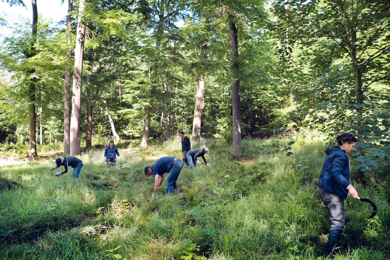 Corporate Volunteering in Liebenberg