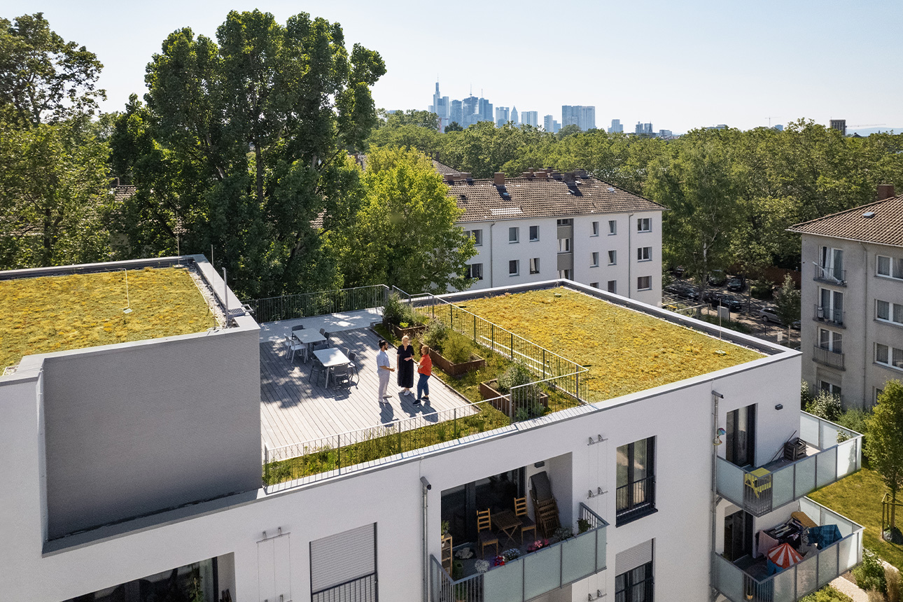 Personen stehen auf begrünter Dachterrasse eines Hauses