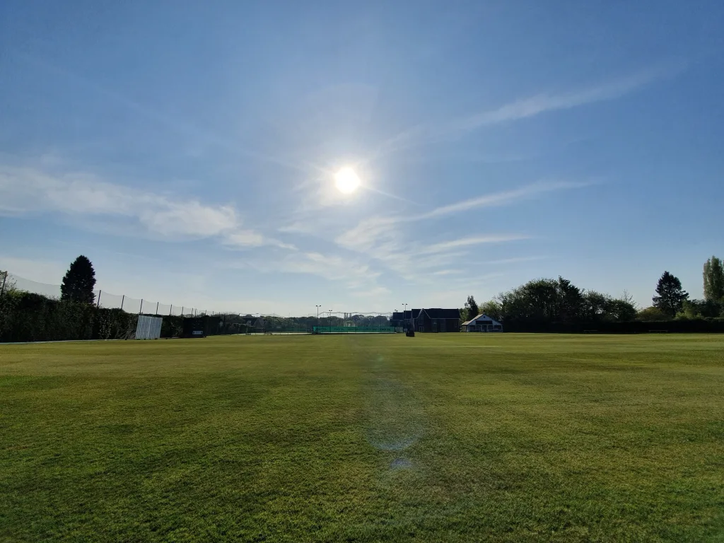 cricket sunny pitch