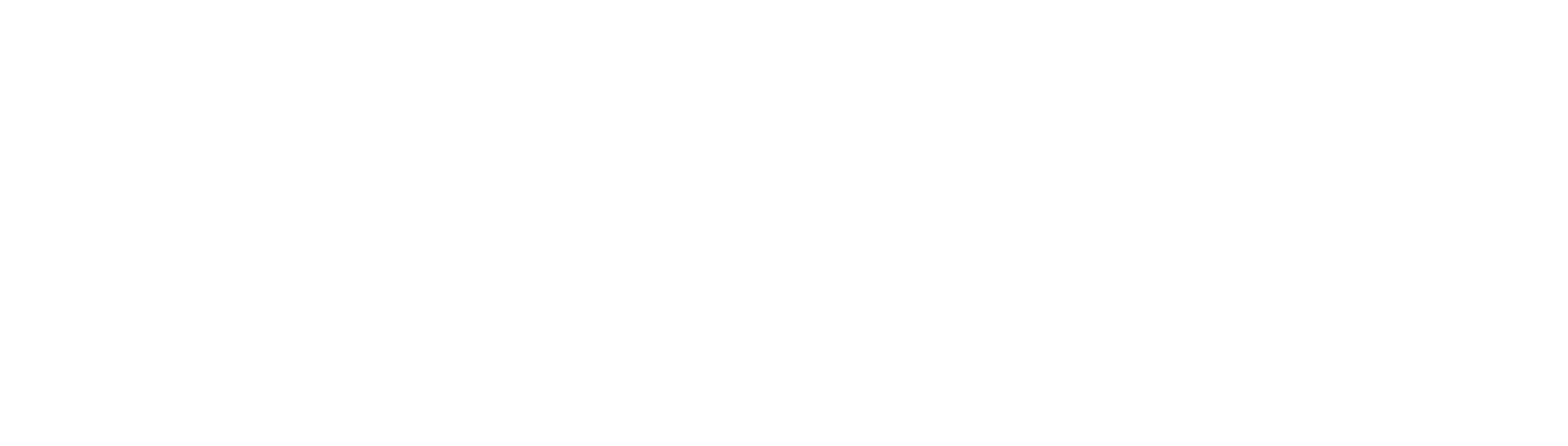 imi logo 100