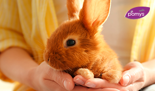 ¿Sabías qué? En Pomys no experimentamos en animales