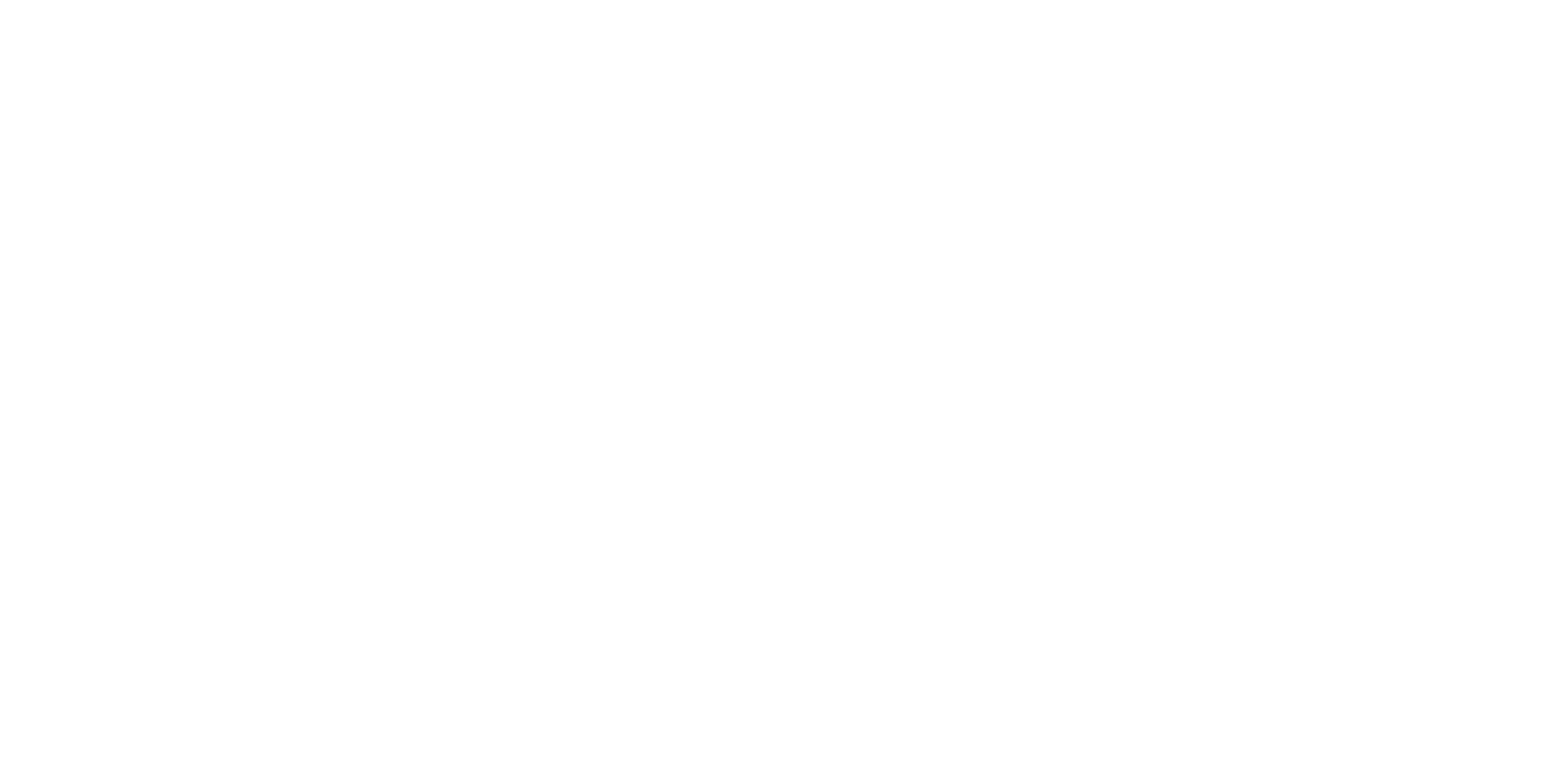 Logo Footer