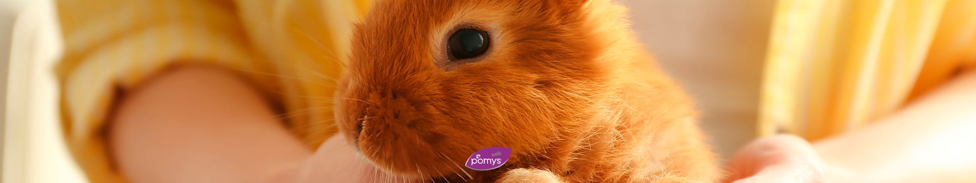 ¿Sabías qué? En Pomys no experimentamos en animales