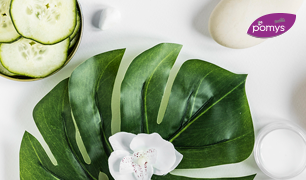 Ingredientes estrella para una piel sana y fresca